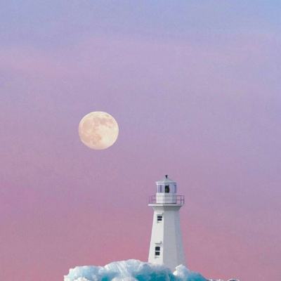 im电竞手机app下载